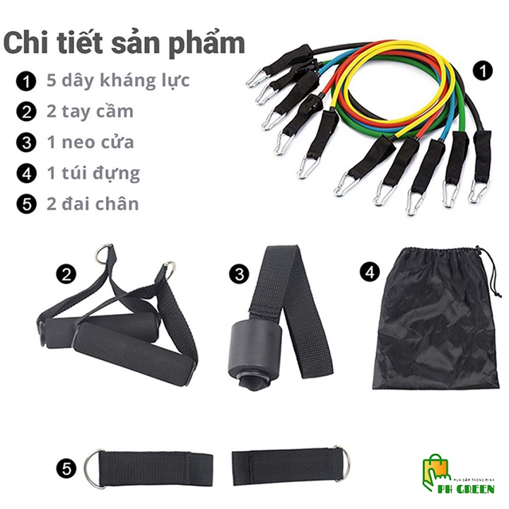 Combo 2 Sản Phẩm Tập Gym Tại Nhà - YOGA QG: 1 Con Lăn Tập Bụng 4 Bánh + 1 Bộ Dây Ngũ Sắc Tập Gym Đa Năng