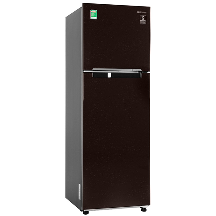 Tủ Lạnh Inverter Samsung RT25M4032BY/SV (256L) - Hàng Chính Hãng - Chỉ Giao tại HCM