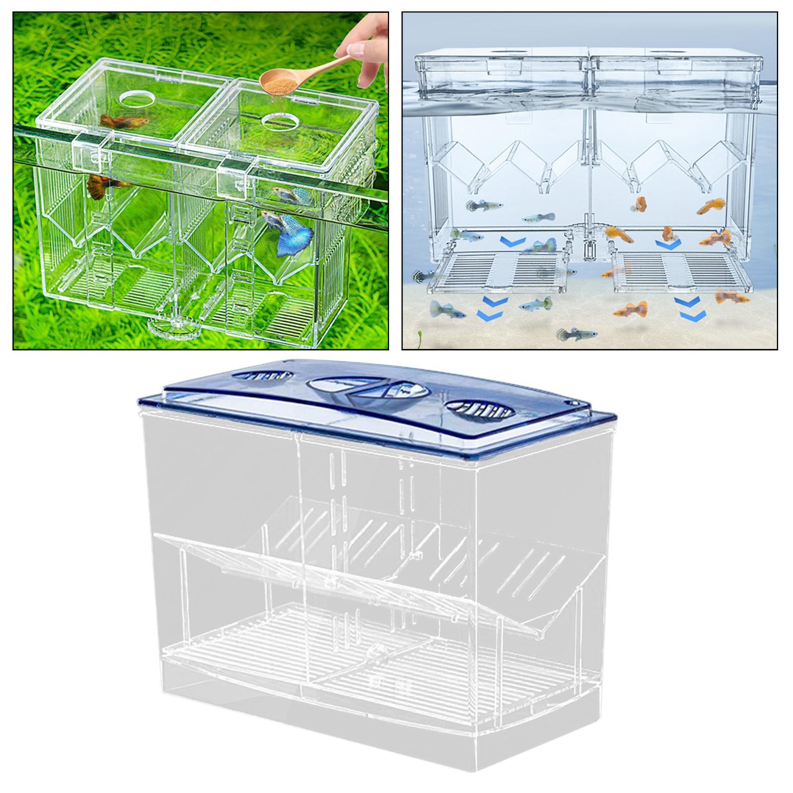 Fish Breeding Box Clear Fish  Box for  Fish Supplies