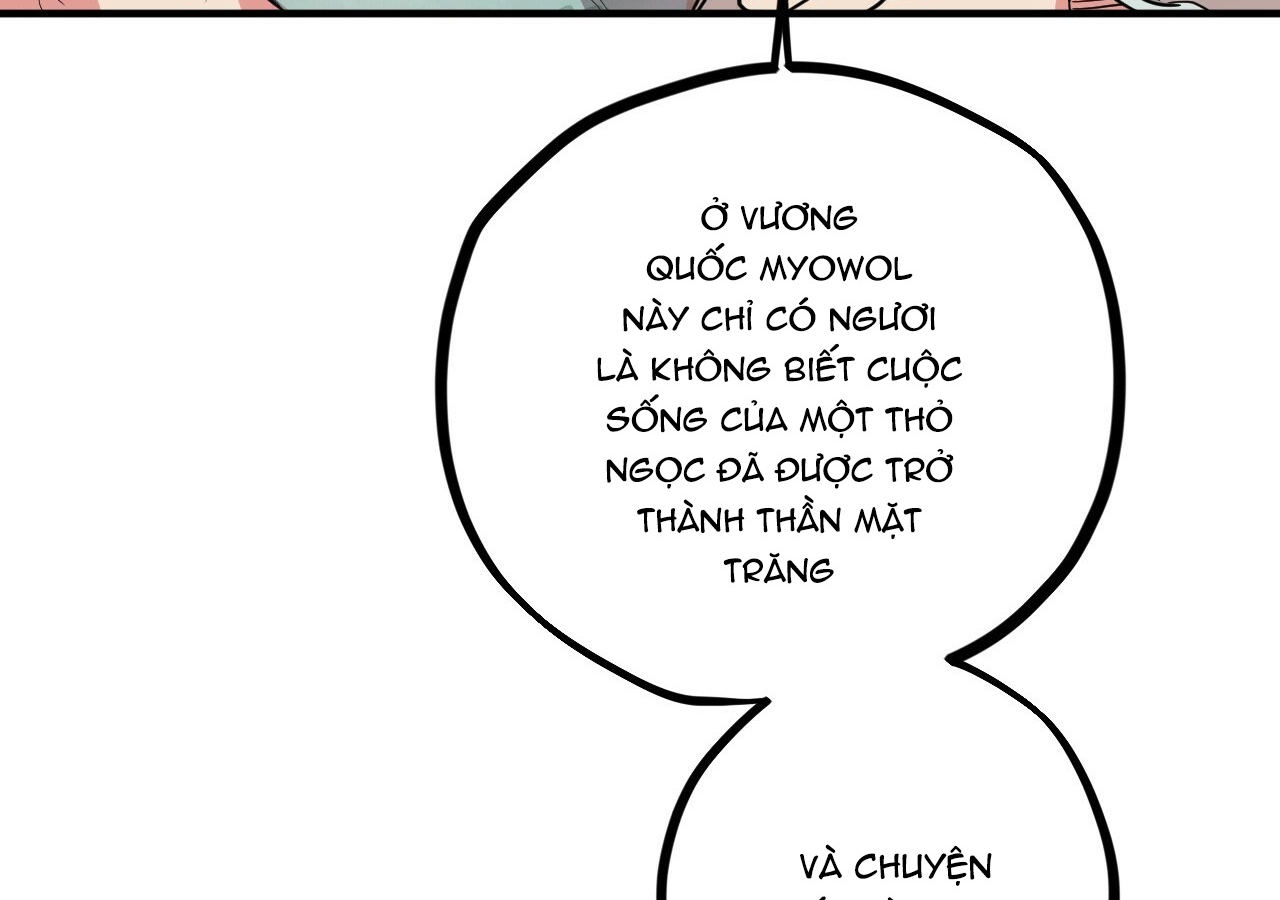 đàn thỏ của habibi chapter 21 158