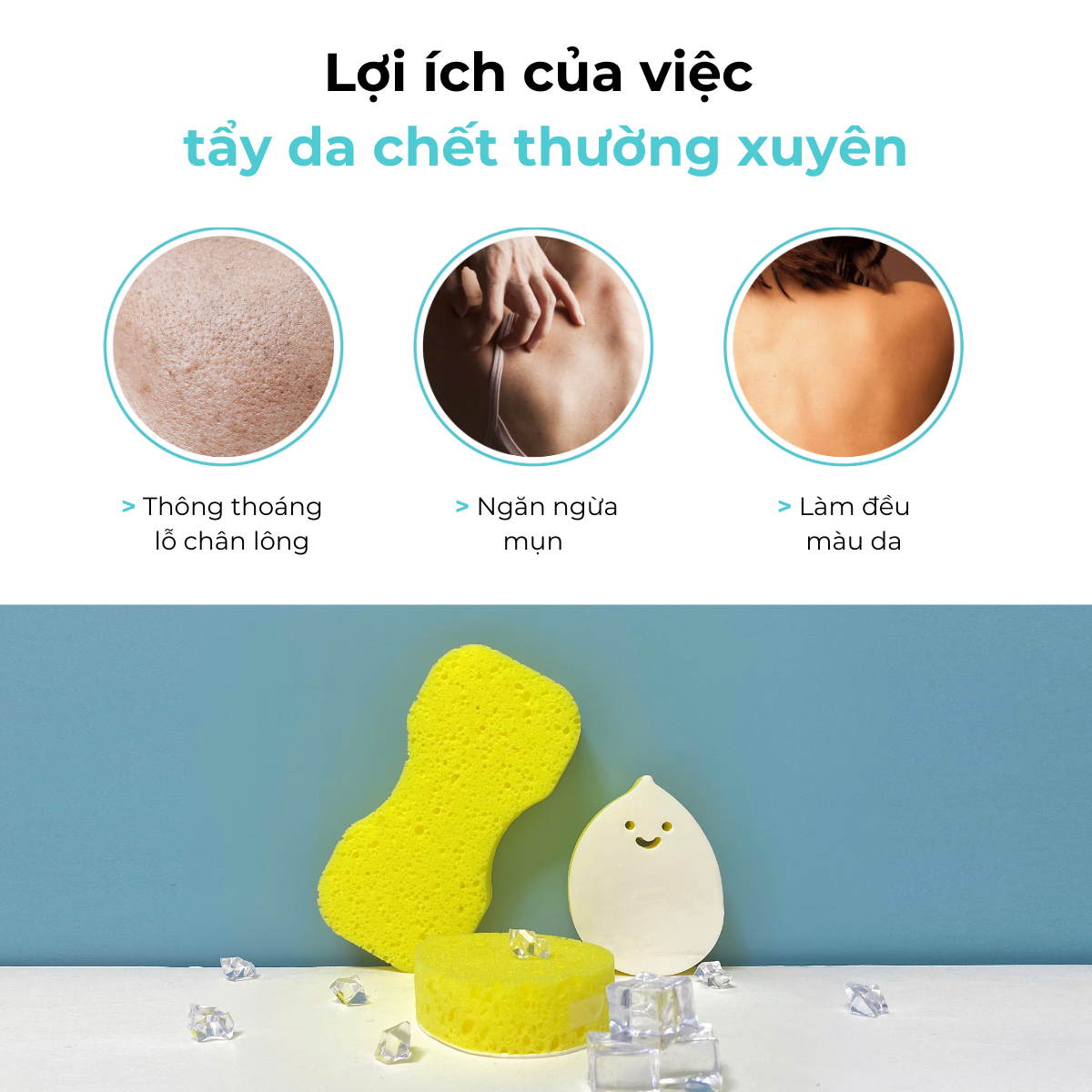 Bông Tắm, Bông Rửa Mặt Bọt Biển Daily Aqua - Làm Sạch Da, Tẩy Tế Bào Chết