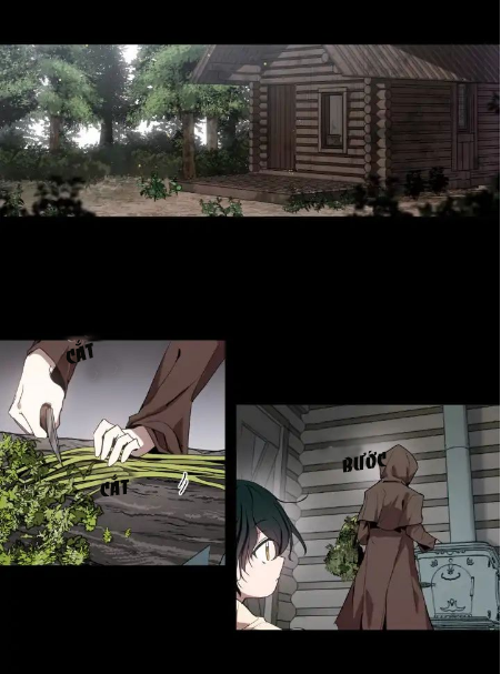 mong ước tuyệt vọng của một phù thủy chapter 3 3