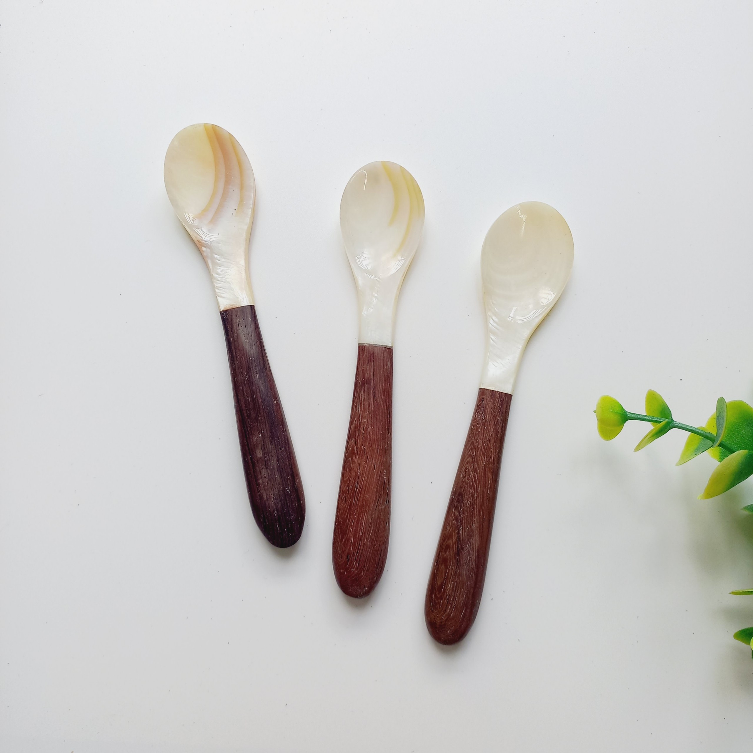 Thìa Trai Trắng Cán Gỗ Dài 13cm Tinh Tế Ăn Trứng Cá Hồi, Trứng Cua, Ăn Sữa Chua, Ăn Dặm Cho Bé Của Vitrapro