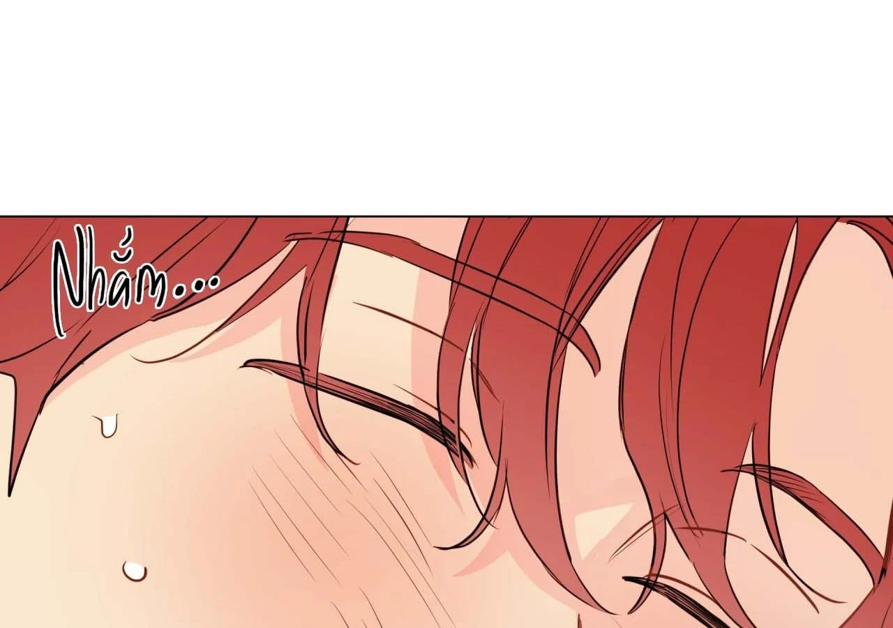 chuyện quái gì với giấc mơ đó vậy chapter 59 121