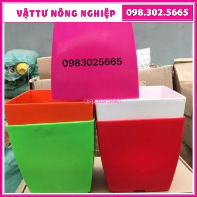 Combo 10 chậu nhựa vuông đủ màu kích thước 20x20cm