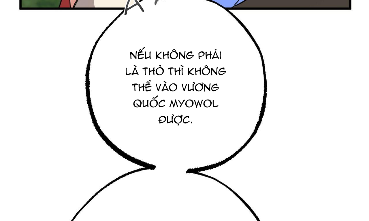 đàn thỏ của habibi chapter 48 197