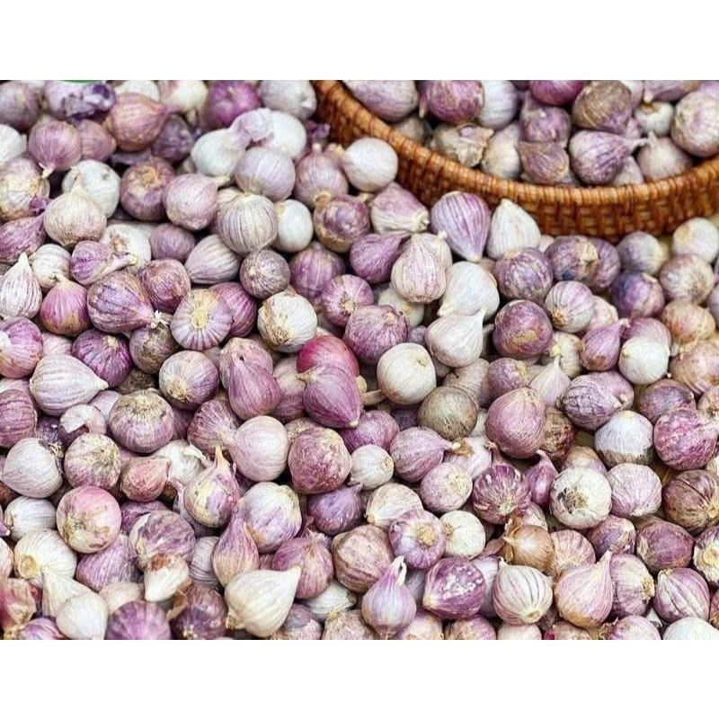 Tỏi cô đơn 1 kg. Đặc sản tỏi cô đơn, tỏi 1 nhánh size vừa