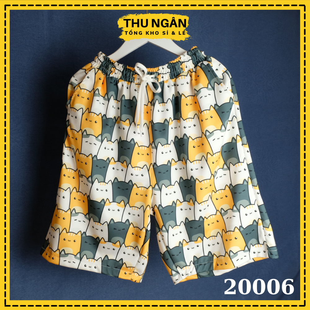 Quần Đùi Nữ Thun Cao Cấp Cotton Loại 1 Mặc Nhà Và Đi Chơi 20006