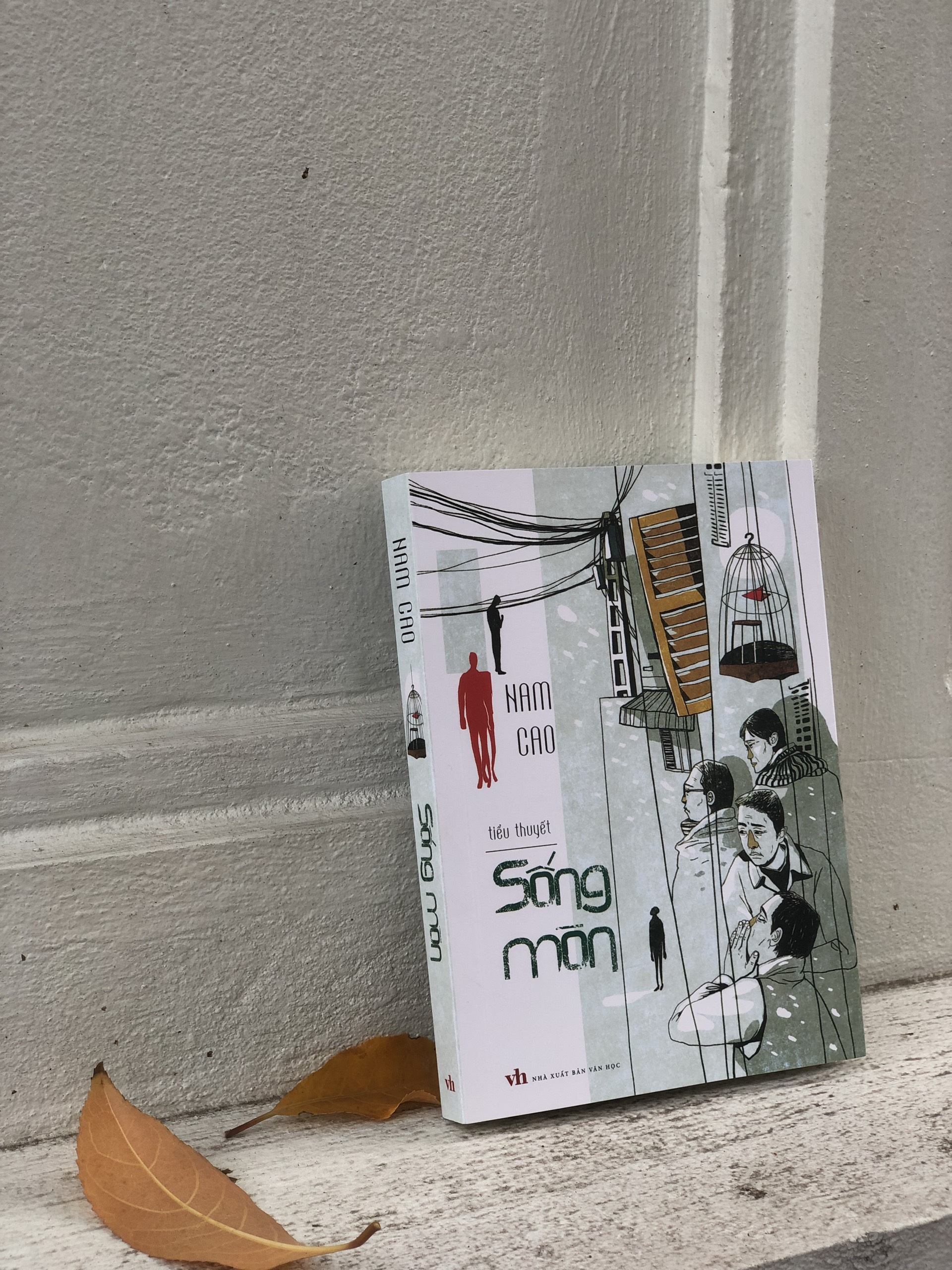 Sách: Tiểu Thuyết Sống Mòn