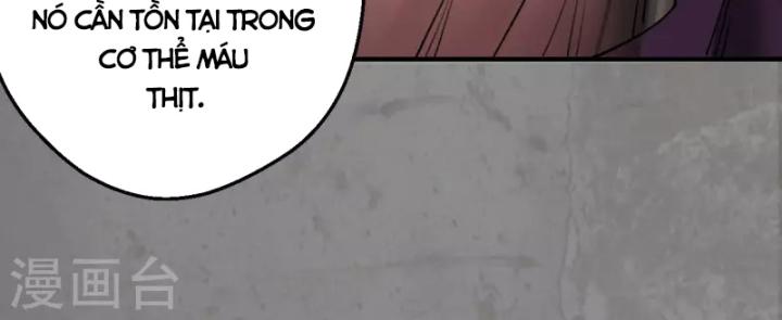 Tạng Phong Hành chapter 183 14