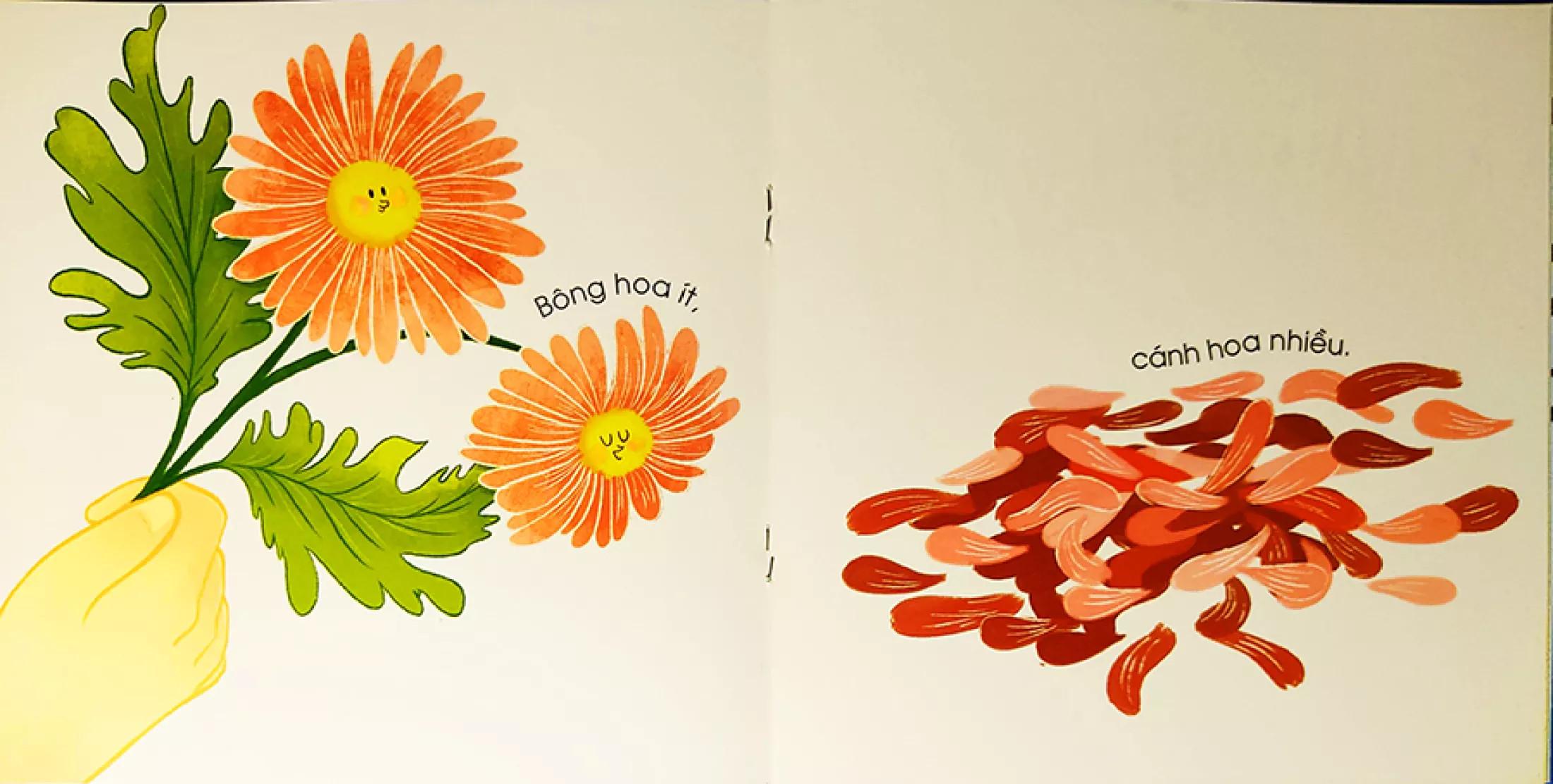 Đối Lập Ngộ Nghĩnh: Ít - Nhiều