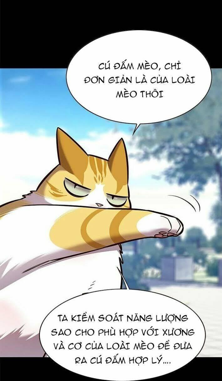 biến thân thành mèo chapter 166 27