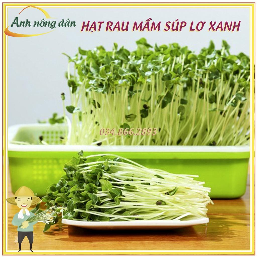 Gói 20g Hạt rau mầm rau súp lơ xanh - hạt chất lượng tốt, nảy mầm đồng đều