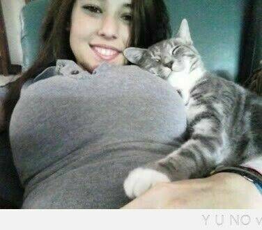 rage comic-troll chapter 71 21