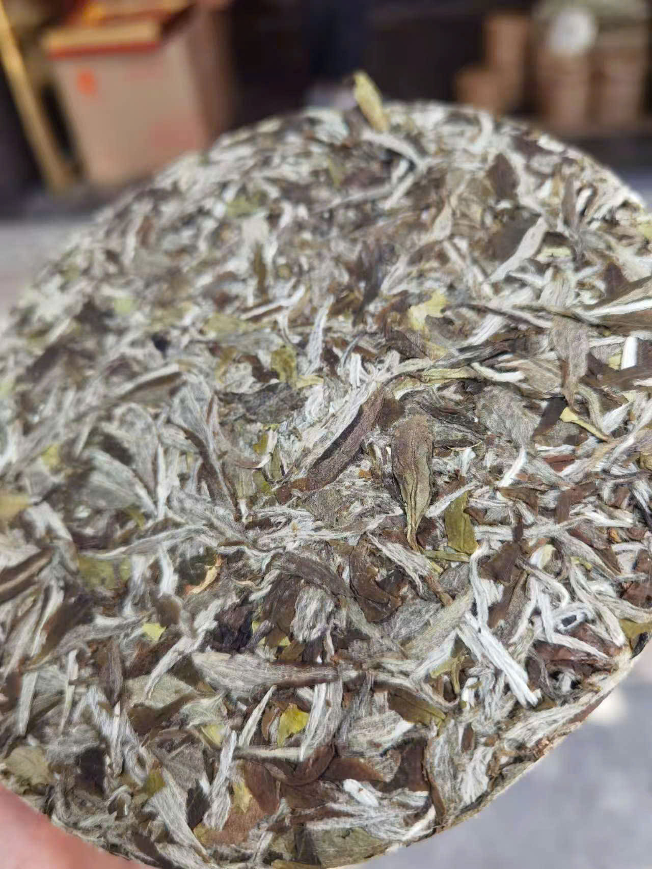 BÁNH TRÀ PHỔ NHĨ SỐNG BẠCH TRÀ MẪU ĐƠN U VẬN - 300G - TRÀ NGON LÂU NĂM - WHITE PUERH TEA - SHENG PUERH