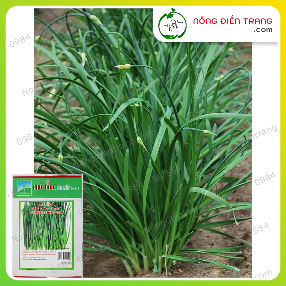 Hạt Giống Hẹ Cao Sản (Chives) Phú Nông - Gói 2g - Tỉ Lệ Nảy Mầm Cao, Nảy Mầm Nhanh, Sinh Trưởng Mạnh - VTNN Nông Điền Trang