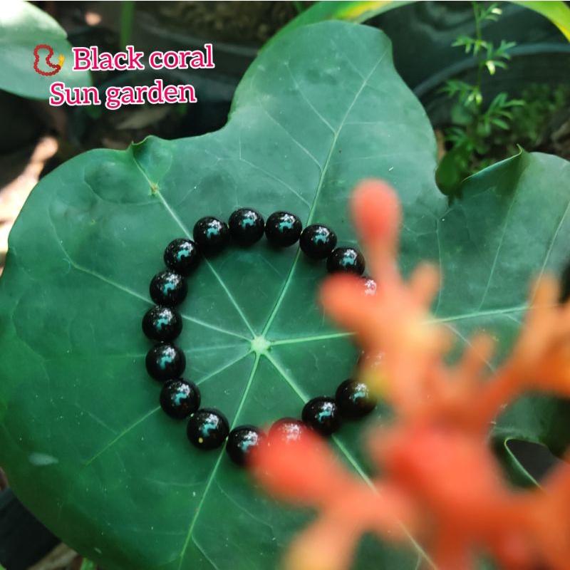 Vòng tay san hô đen sang trọng