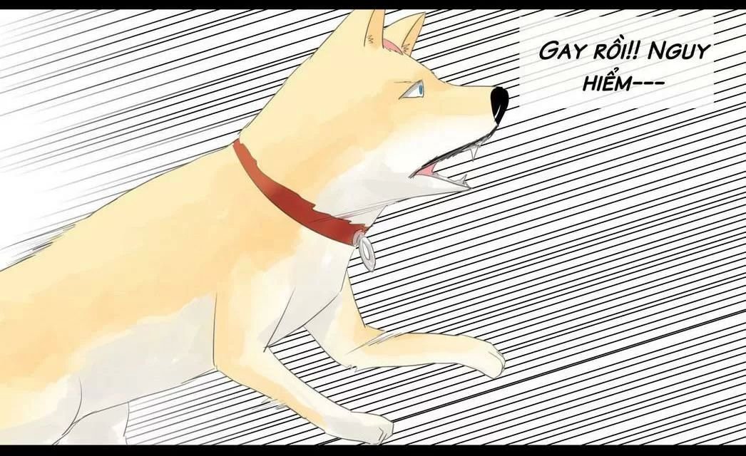 một con chó chapter 45 8