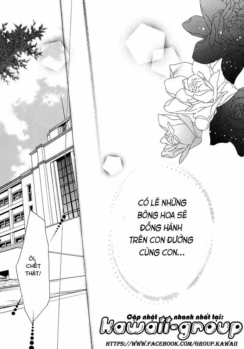 nụ hôn của công chúa tường vi chapter 40 49