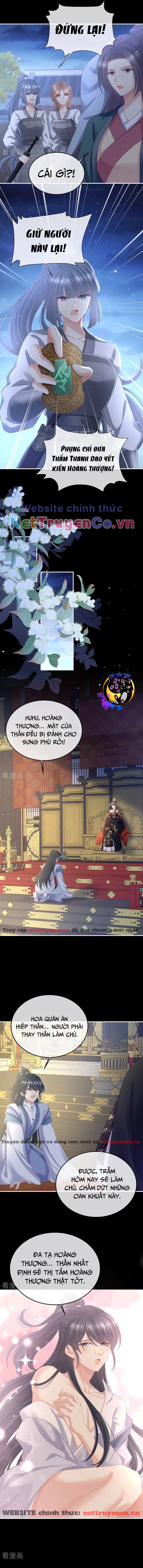 hậu cung của nữ đế - mùa 2 chapter 35 6