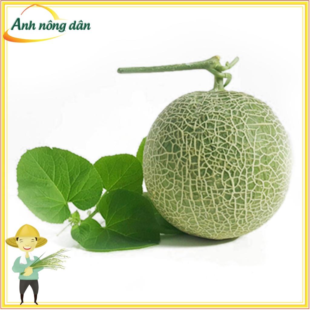 10 Hạt giống dưa lưới xanh F1 cao sản, năng suất cao, chịu nhiệt tốt - Anh nông dân chính hiệu