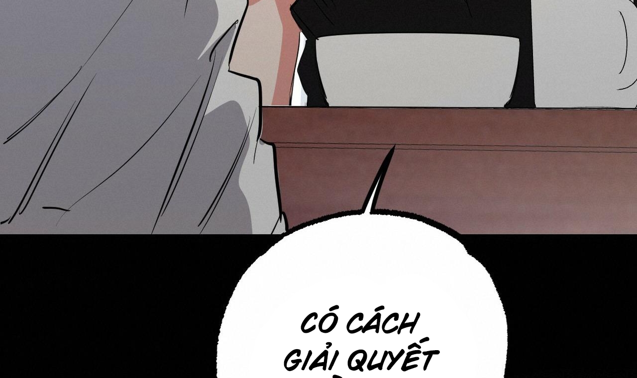 những chú thỏ của hapypy chapter 51 222