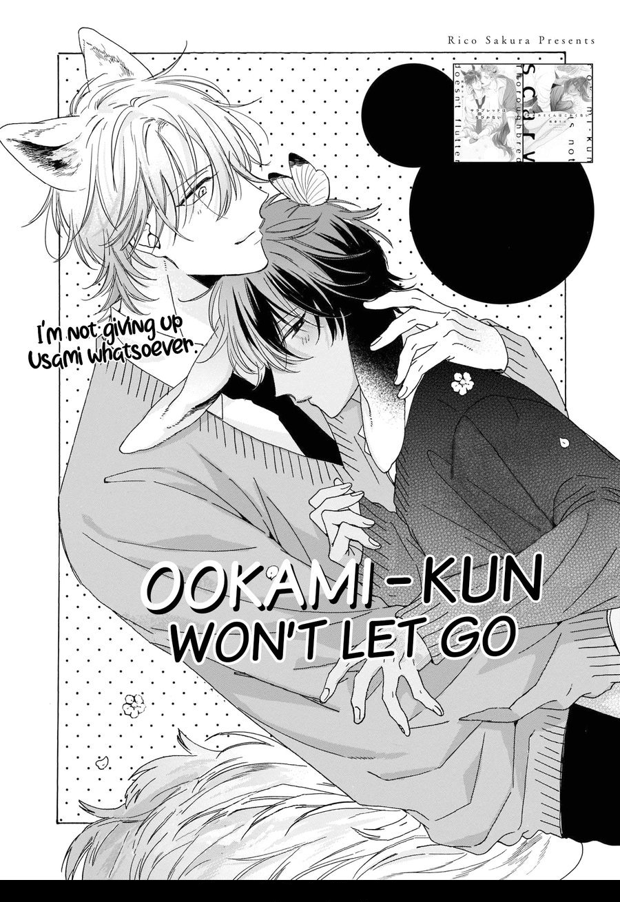 Ookami-kun sẽ không buông tay! chapter 4