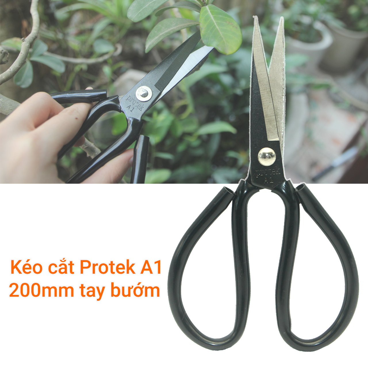 Kéo cắt 200mm tay bướm  A1