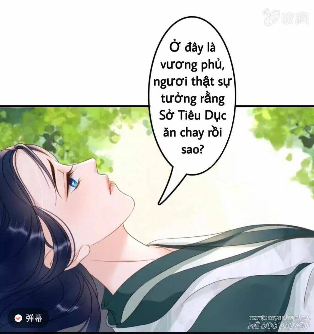 sủng phi của vương chapter 66 22