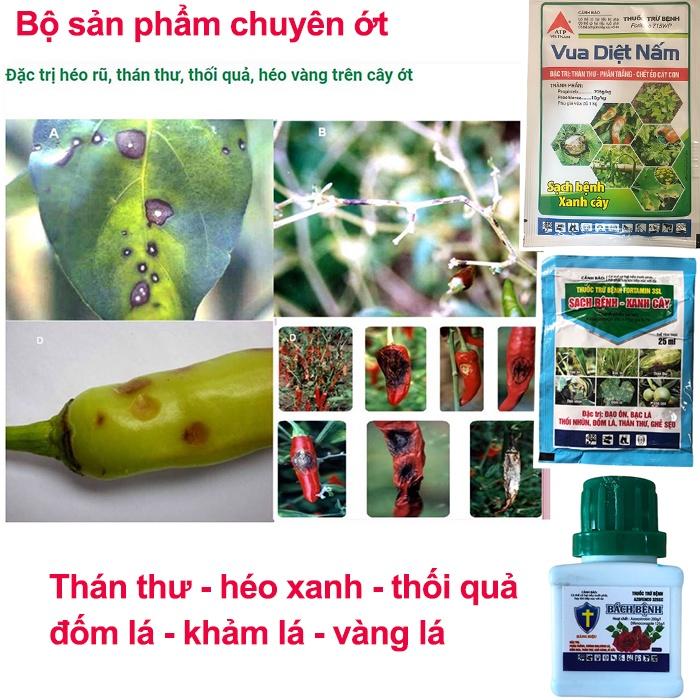 Bộ sản phẩm trừ bệnh thán thư trên ớt, trừ bệnh thối quả trên ớt, trừ bệnh héo xanh trên ớt, trừ bệnh azo15,vdn,fotamin