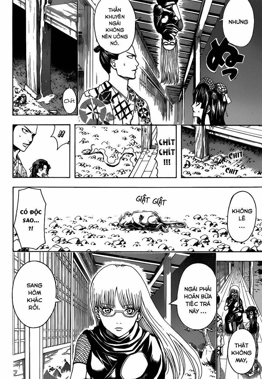 gintama - linh hồn bạc chapter 502 6