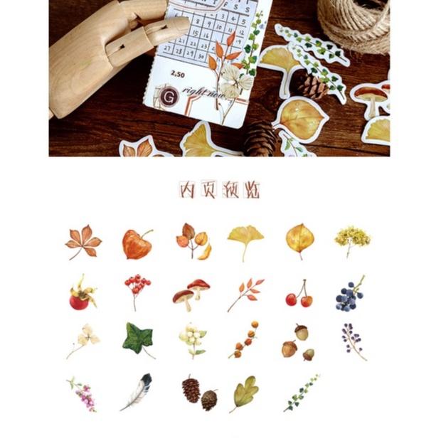 Hộp 46 sticker thực vật mùa thu trang trí sổ tay DIY Box Sticker ST310