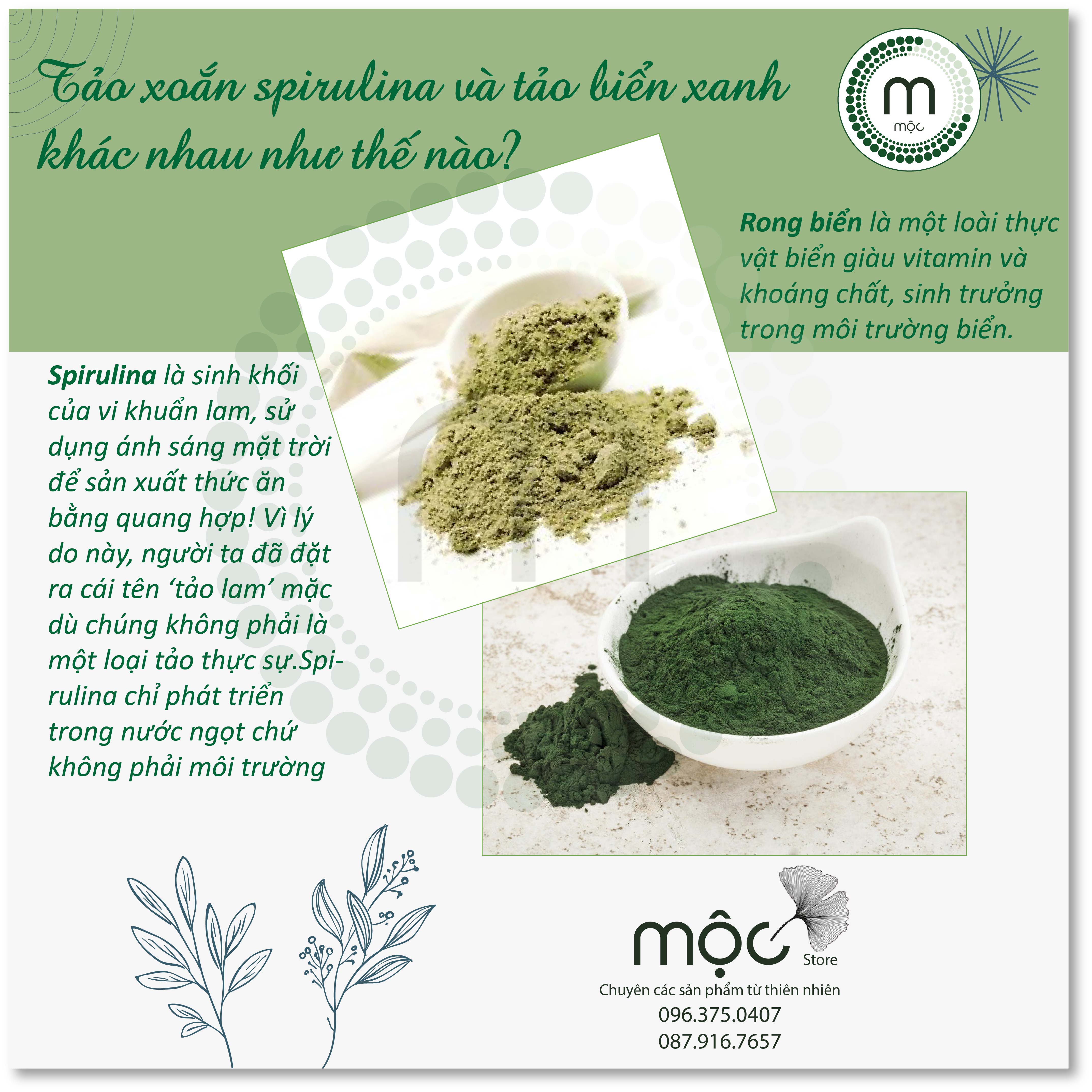 Bột Tảo Xoắn Spirulina Nhật Bản đắp mặt nguyên chất từ thiên nhiên 100ml handmade