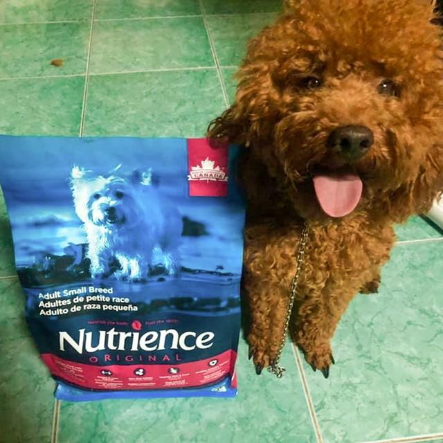 Thức Ăn Cho Chó Pomeranian, Nutrience Original Bao 500g - Thức Ăn Cho Chó, Vị Thịt Gà, Rau Củ Quả, Trái Cây