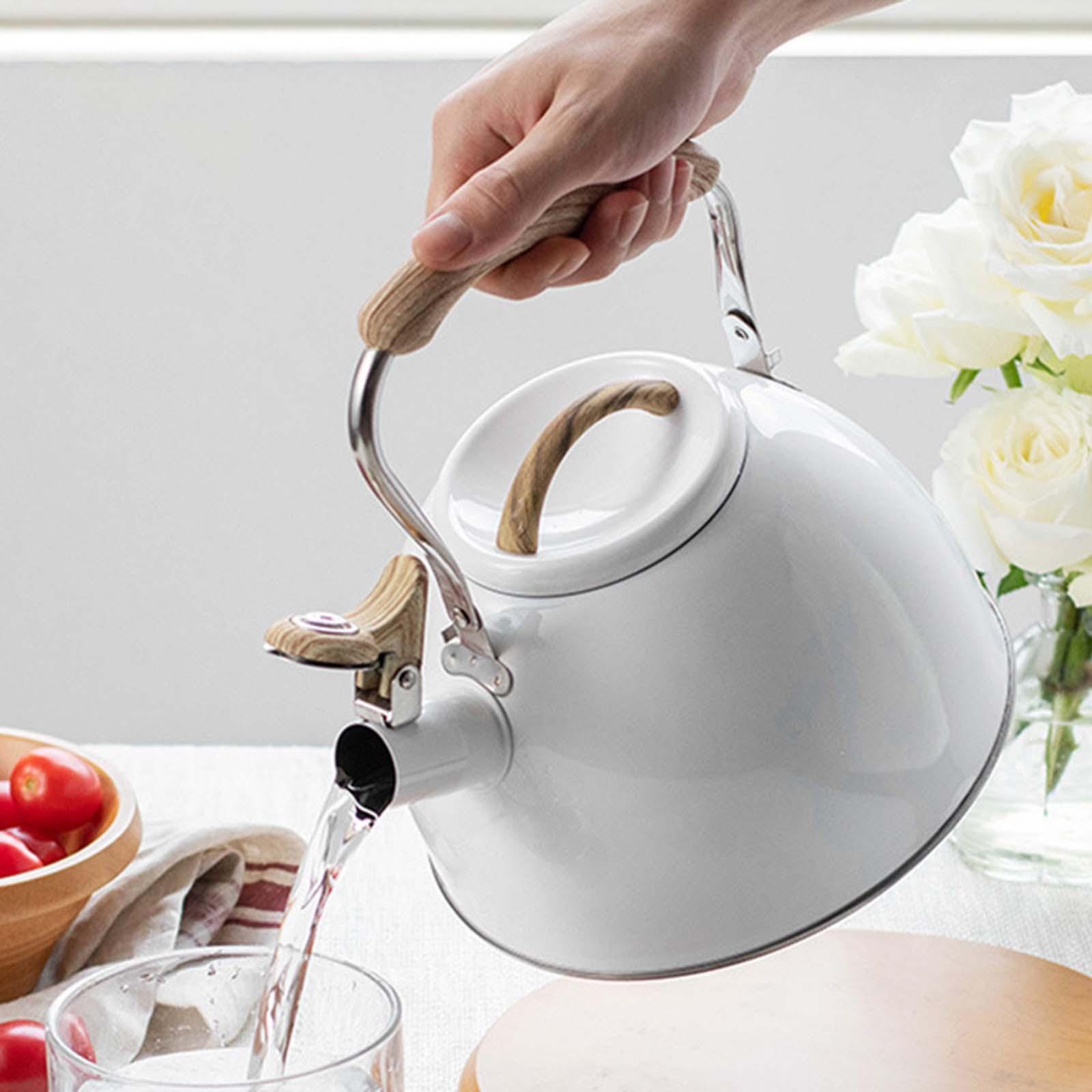 6L Stainless Steel Hot Water Kettle Pot With Whistle Sound ,Tea Kettle