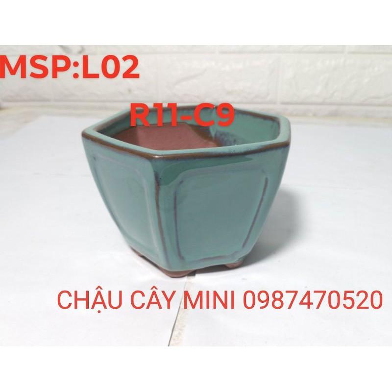 Chậu lục giác cao mini L02,chậu cây cảnh mini, chậu trồng cây bonsai