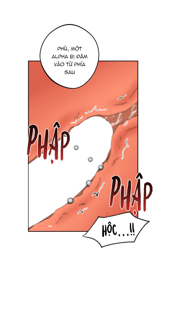 quầng trăng ban ngày chapter 5 25