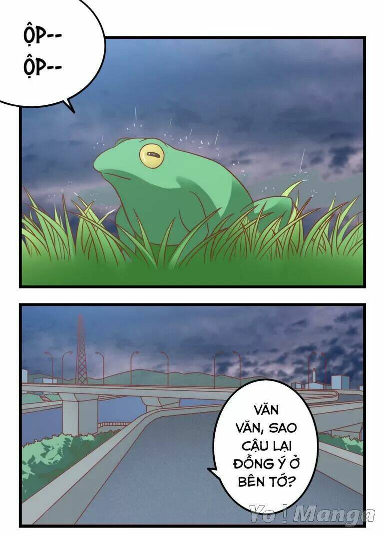 tôi là vợ tôi chapter 68 1