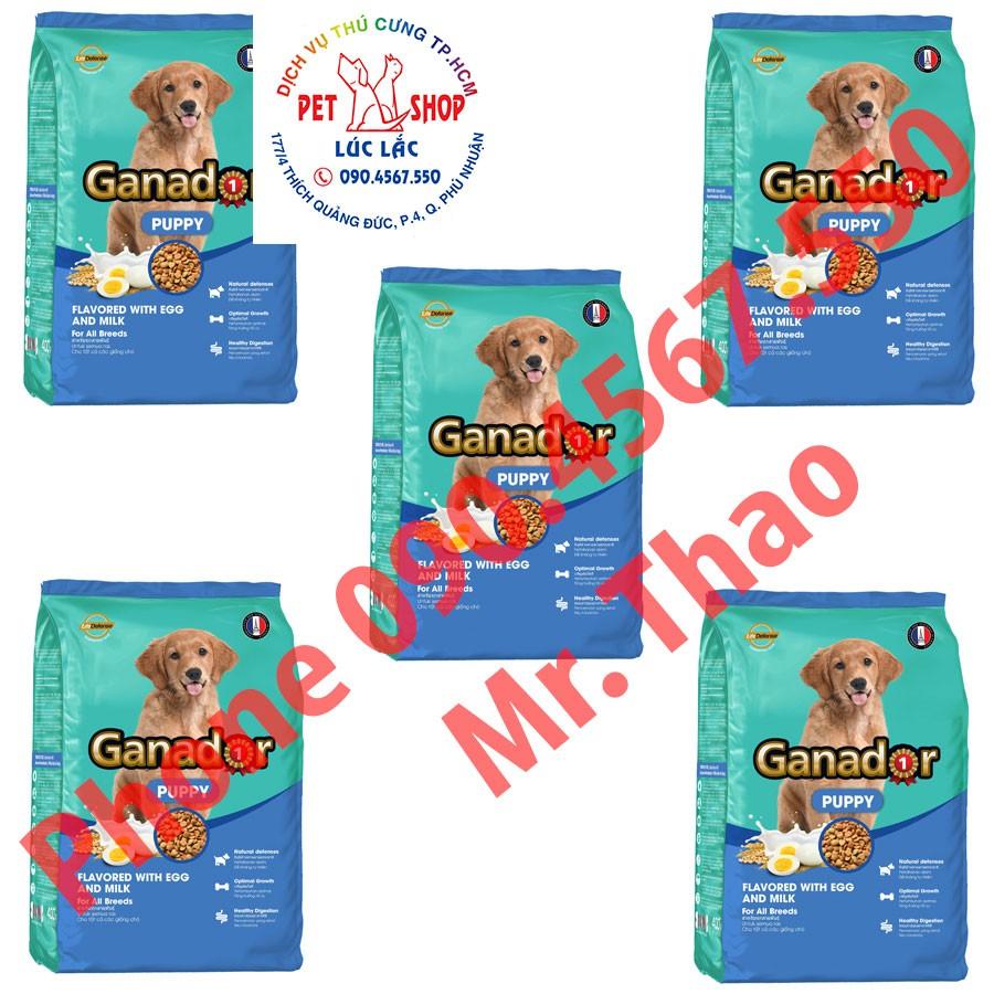 Combo 05 Gói x 400 gram Thức ăn cho chó con Ganador vị Trứng và Sữa - Ganador Egg and Milk