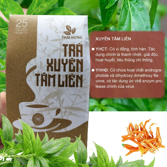 Trà Xuyên Tâm Liên Thái Hưng 25 túi lọc x 05g - Phòng ngừa các vấn đề hô hấp, giảm ho, giảm sốt, tăng đề kháng, chống cảm cúm, thanh nhiệt thải độc