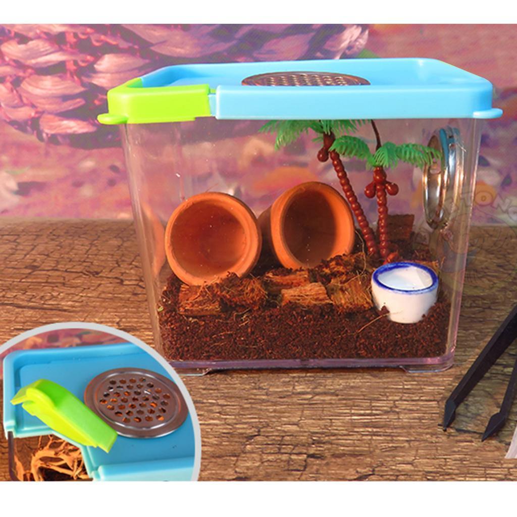 Reptile Spider Breeding Box Container Case Hatching Tank