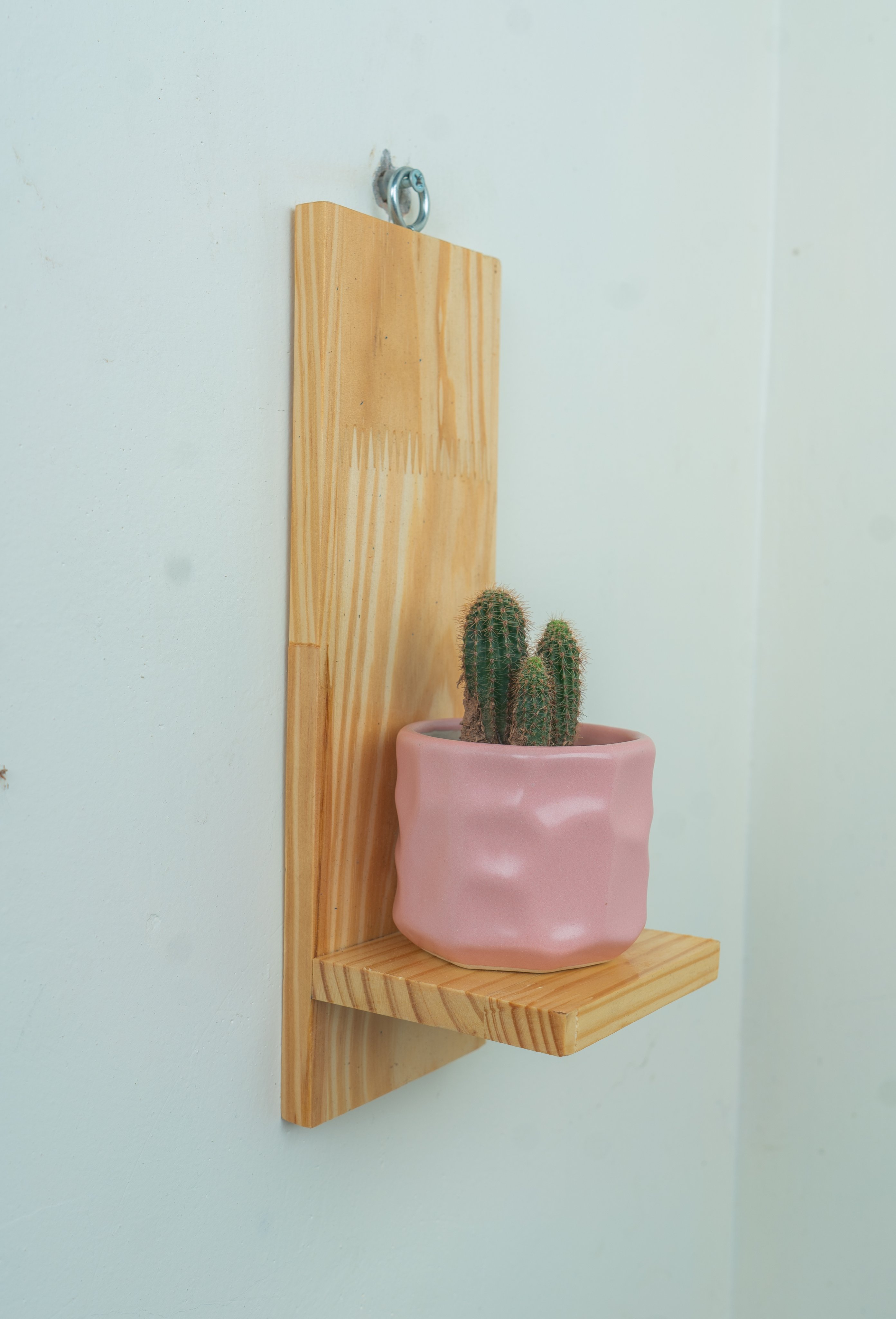 Kệ treo tường trang trí đựng chậu hoa cây cảnh xinh không cần khoan tường kích thước 30x10x10 cm