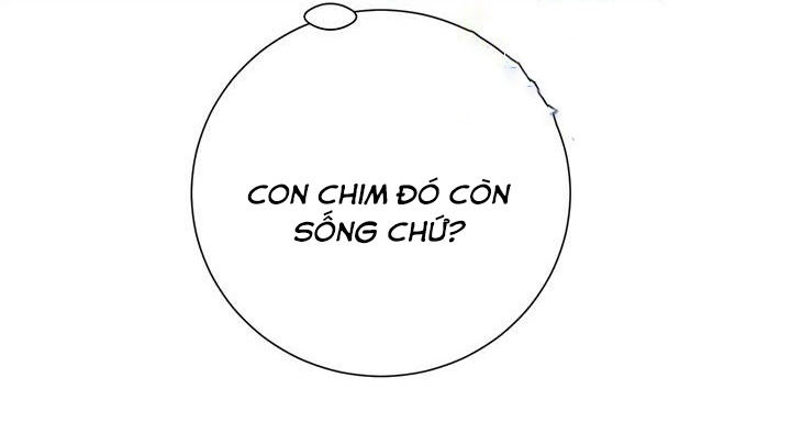 công chúa của loài chim chapter 44.1 10