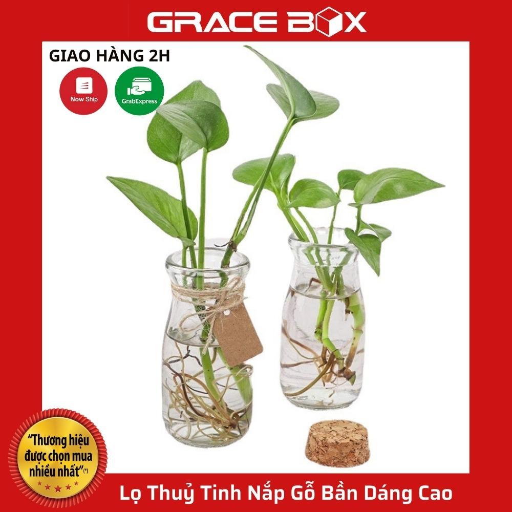 Lọ Thuỷ Tinh Nắp Gỗ Bần Xinh Xắn Dáng Cao - Size 100ml