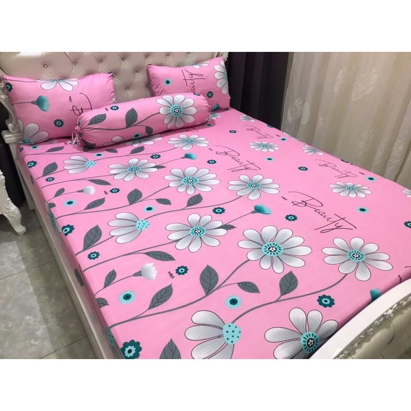 Ga nệm thun Hàn quốc đủ kích thước cao cấp
