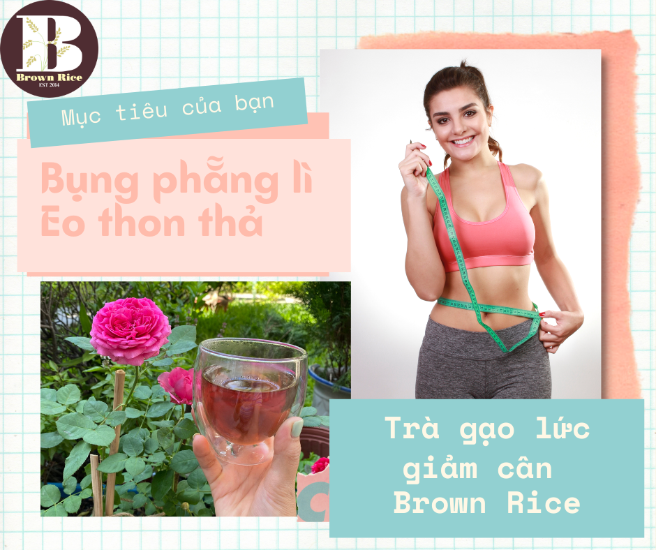 TRÀ GẠO LỨT giảm cân thanh lọc gan