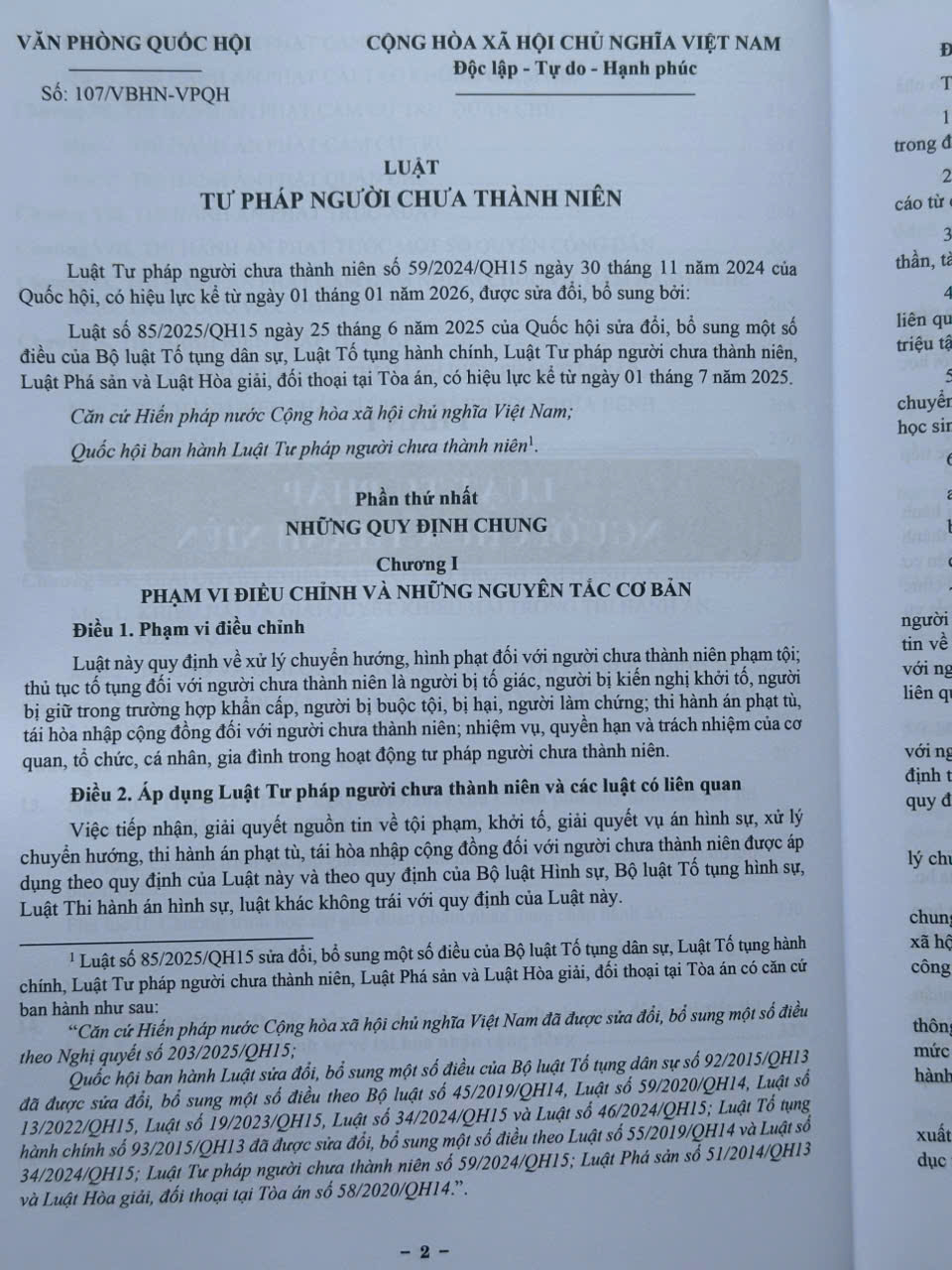 Sách Luật Tư Pháp Người Chưa Thành Niên sửa đổi, bổ sung năm 2025 (V2622Q)