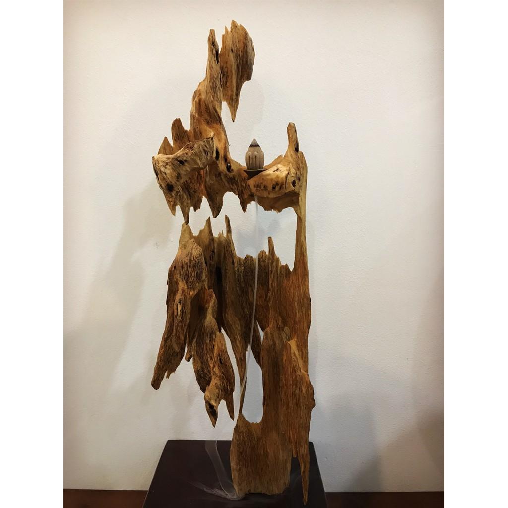 TRẦM KIẾN NÚI QUẢNG NAM