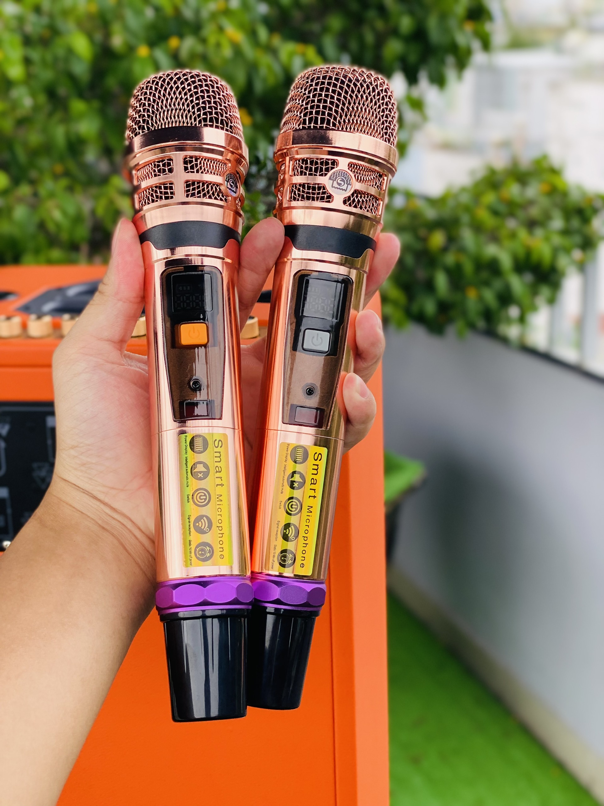 Loa Karaoke Xách Tay L2 Pro Công Suất 600W  Bass Đôi 25 Kèm 2 Micro Không Dây Hợp Kim Hát Nhẹ Âm Sâu Hàng Nhập Khẩu