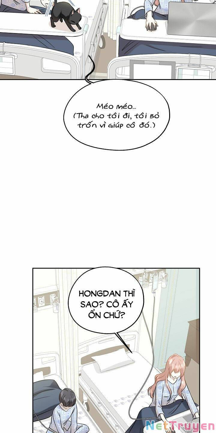 cuộc sống kỳ thú chapter 86 20